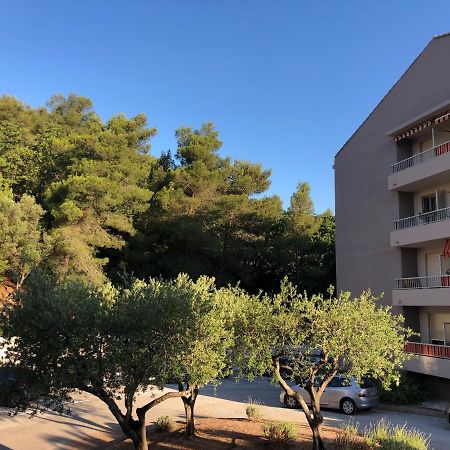 Grand Studio A Hyeres Entre Mer Et Ville Екстериор снимка