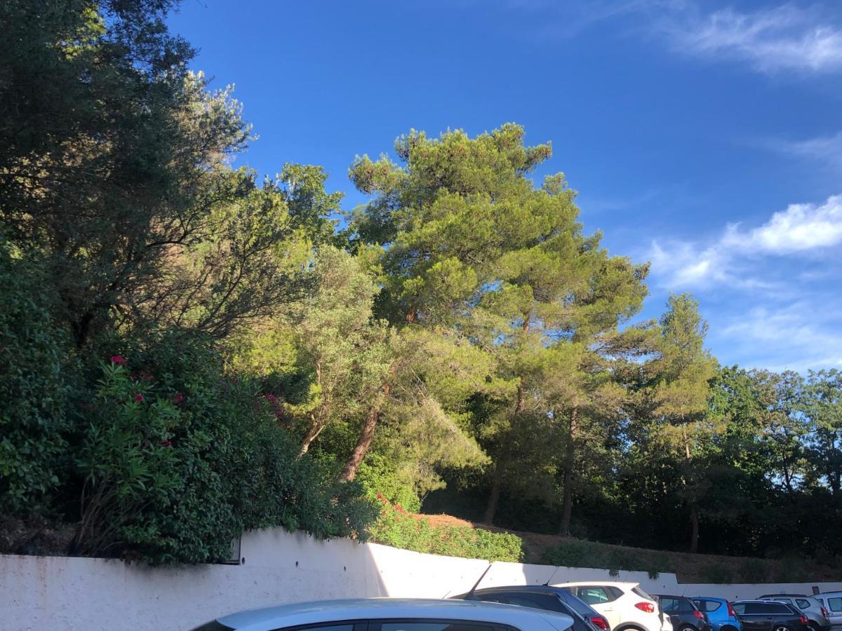 Grand Studio A Hyeres Entre Mer Et Ville Екстериор снимка